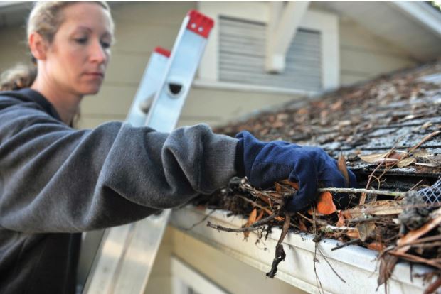 Gutter Cleaning Ottawa