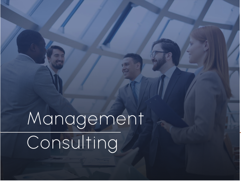 Maven Group - Management Consulting