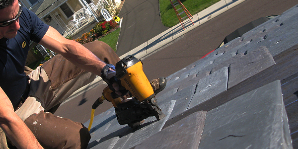 DaVinci - Key tips for surviving a roof replacement