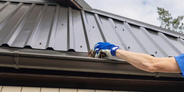 Sheridan Maintaining metal roofing