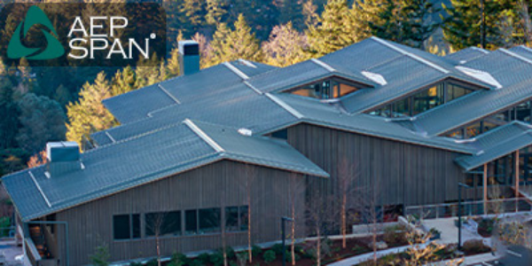 AEP Span Webinar - Metal Roof Systems: Design & Installation Considerations - Client