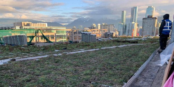 Smart solutions for green roof longevity