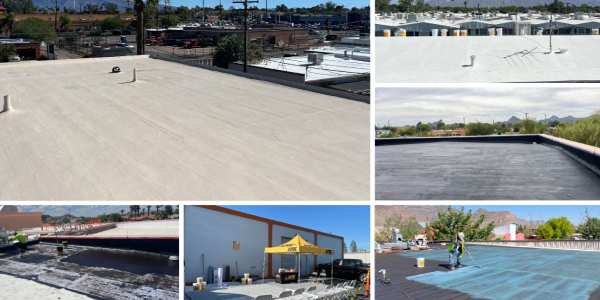 Don’t wait to diversify your offerings Don’t wait to diversify your offerings