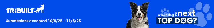 QXO - Banner Ad - TRI-BUILT Top Dog Contest 2025 QXO - Banner Ad - TRI-BUILT Top Dog Contest 2025