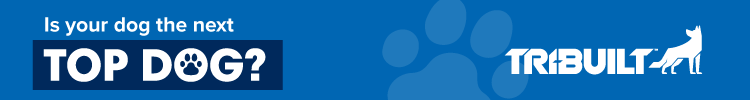 QXO - Banner Ad - Top Dogs 2026 Contest QXO - Banner Ad - Top Dogs 2026 Contest